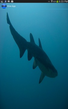 DIve App游戲截圖5