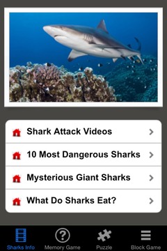 Shark Revenge Attack游戲截圖1