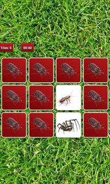 Insect Memory Game游戲截圖5