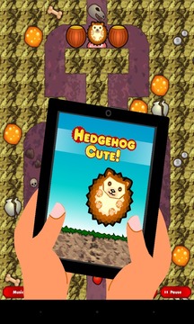 Hedgehog Cute (free with ads)游戲截圖1