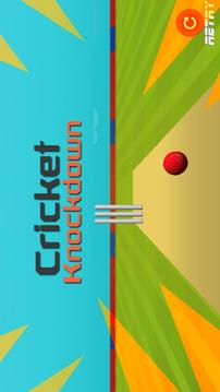 Cricket Knockdown Fever游戲截圖3