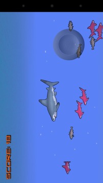 Shark Feast游戲截圖3