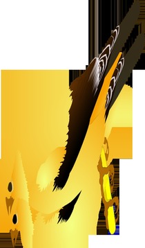 Birds Puzzle Free游戲截圖5