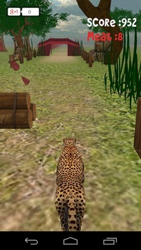Animal Run :Cheetah 3D游戲截圖4