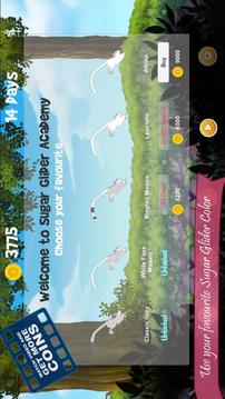 Sugar Glider Academy The Game游戲截圖4