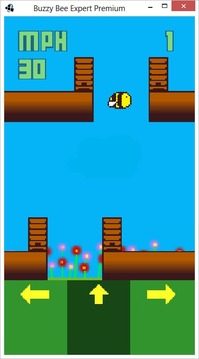 Buzzy Bee Expert游戲截圖5