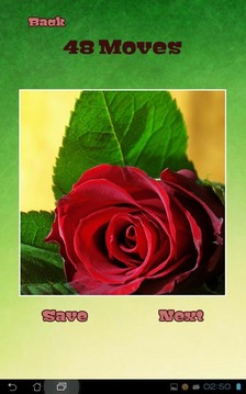 Flower Puzzles游戲截圖1