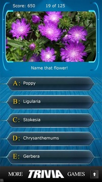 Name that Flower Trivia游戲截圖1