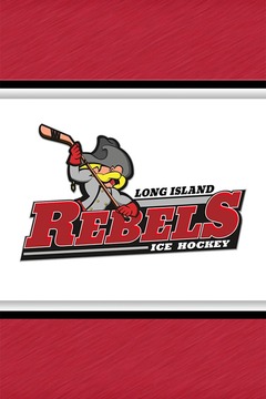 Long Island Rebels Hockey游戲截圖1