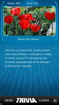 Name that Flower Trivia游戲截圖2