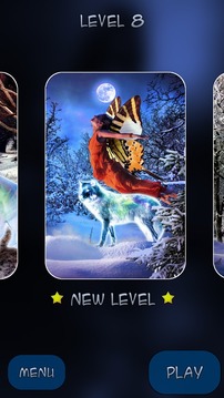 Hidden Pieces: Frost Fairies游戲截圖3