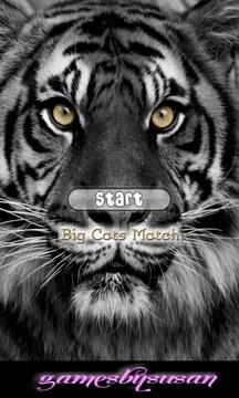 Big Cats Match游戲截圖1
