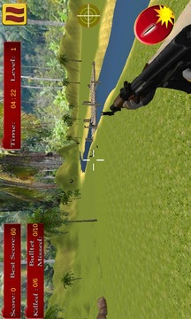 Crow Hunting游戲截圖4