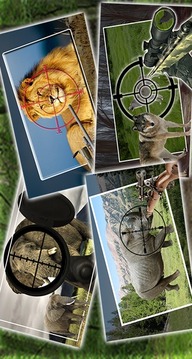 Safari Animal Hunting游戲截圖1