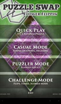 PuzzleSwap - Flower Flippin游戲截圖3