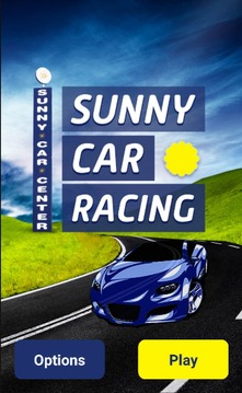 Sunny Car Racing游戲截圖1