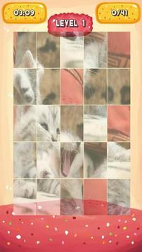 Silvery Kitten Jigsaw Puzzle游戲截圖5