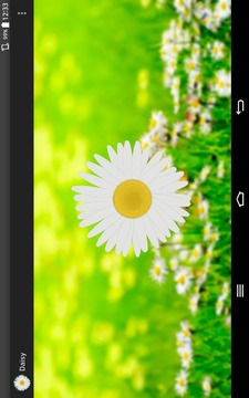 Daisy - the love o meter game游戲截圖4