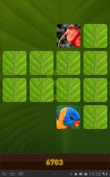 Jungle Memory Game游戲截圖1