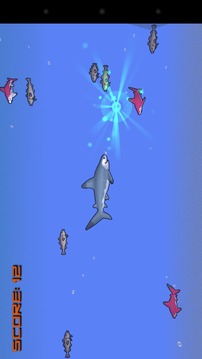 Shark Feast游戲截圖2