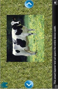 Kids Animals Puzzle游戲截圖5