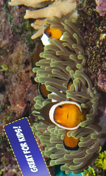 Free Coral Reef Jigsaw Puzzles游戲截圖4