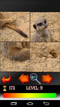 Puzzle Animals游戲截圖4
