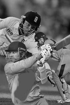 Power Stick Cricket游戲截圖4