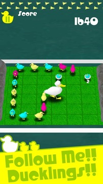 Duckling Walking游戲截圖4