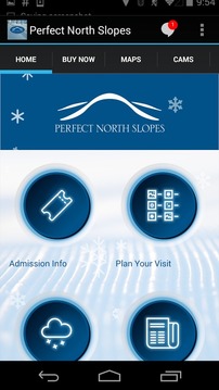 Perfect North Slopes游戲截圖3