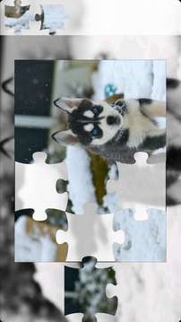 Husky Puzzle游戲截圖3