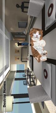 Life of Cat游戲截圖5