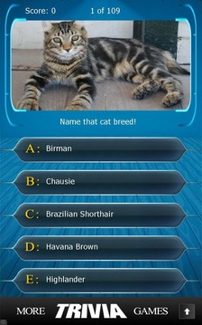 Name that Cat Breed Trivia游戲截圖1