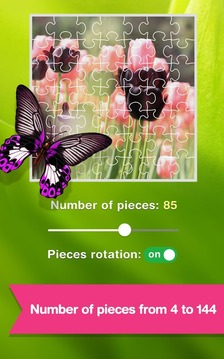 Jigsaw Puzzle: Colorful Season游戲截圖2