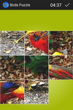 Birds Puzzle游戲截圖4