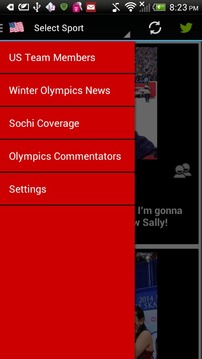 US Winter Games Sochi游戏截图3