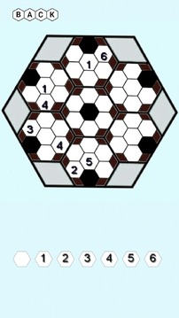 Hexa Sudoku游戲截圖2