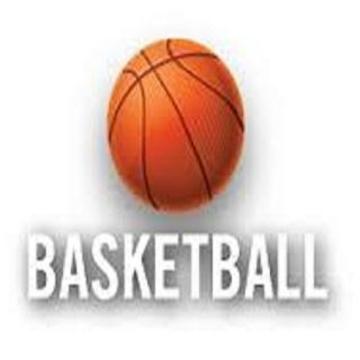 basketball game player游戲截圖1