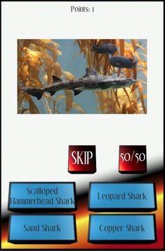 Sharks Picture Quiz游戲截圖4