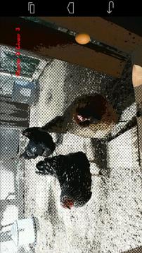 Catch or Hatch Demo游戲截圖3