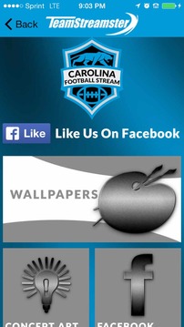 Carolina Football STREAM游戲截圖5