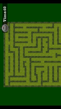 Maze Escape游戲截圖2