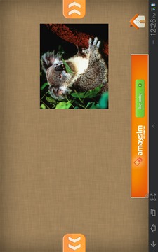 Fun Free Kids Jigsaw Puzzles游戲截圖5