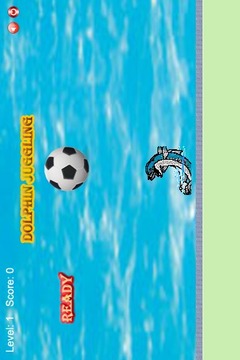 Dolphin Juggling游戲截圖1