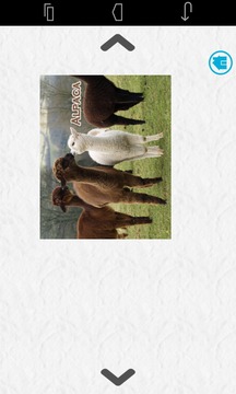 Jigsaw Puzzles Game for Kids游戲截圖2