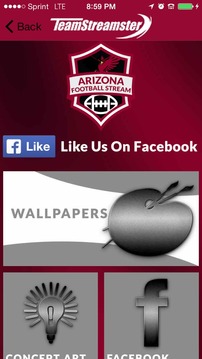 Arizona Football STREAM游戲截圖5