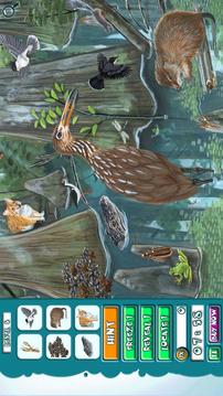 Hidden Jr FREE Habitat Spy游戲截圖3