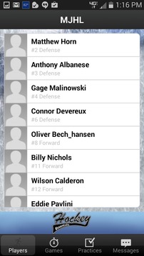 Jersey Wildcats (AMHL)游戲截圖4