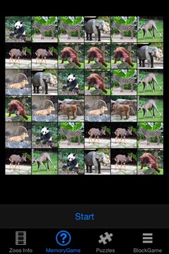 Zoo Animals Story游戲截圖2