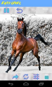 Horses Jigsaw Puzzle游戲截圖5